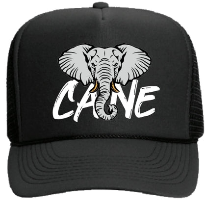 CAINE 🐘