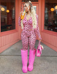 Pink Kitty Set