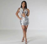 Silver Fox BodyCon Dress